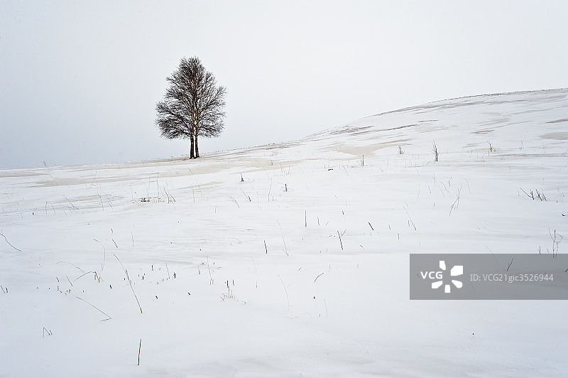 坝上雪景图片素材