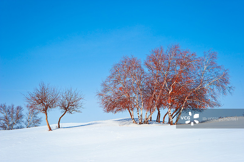 坝上草原雪景图片素材