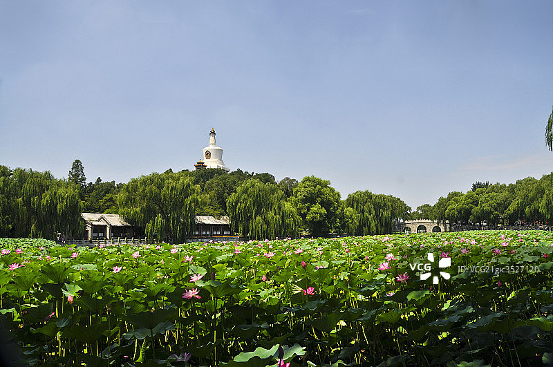北京北海公园图片素材