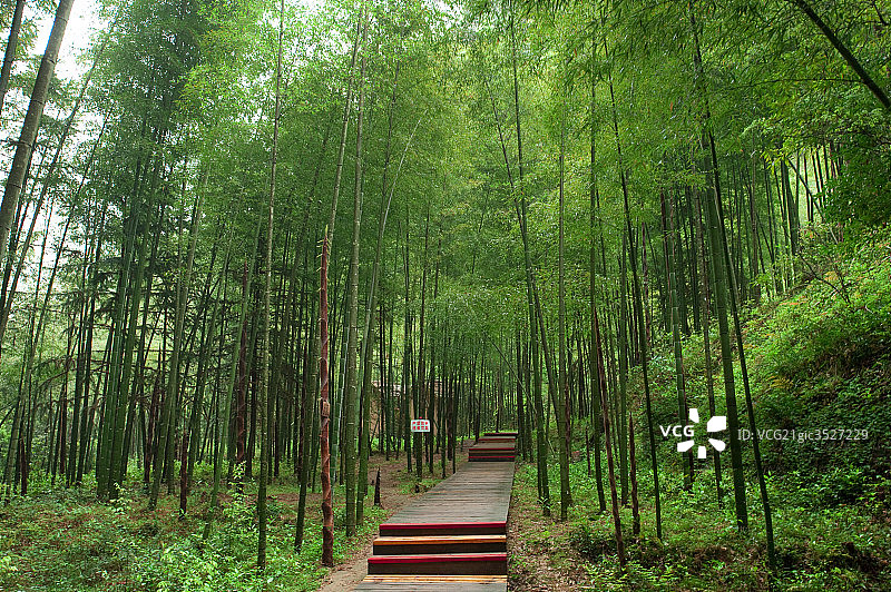 武夷山图片素材