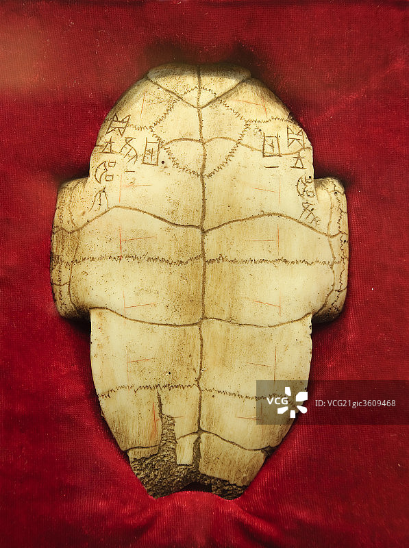 河南省安阳殷墟占卜龟甲图片素材