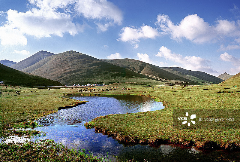 云南省会泽大海乡牧场图片素材