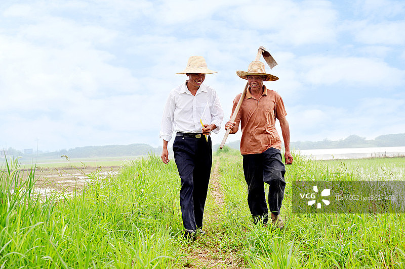 技术人员与农民在田间图片素材