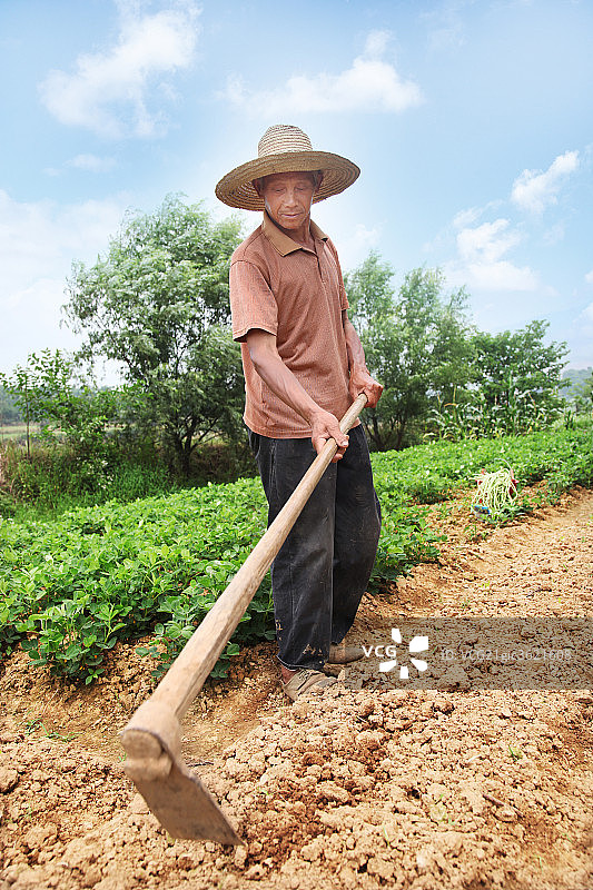 农民在田间图片素材
