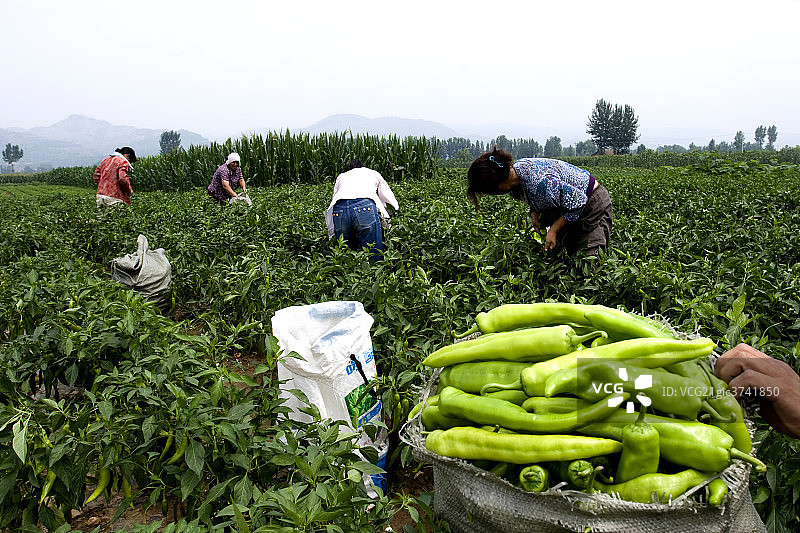 河南省农田图片素材