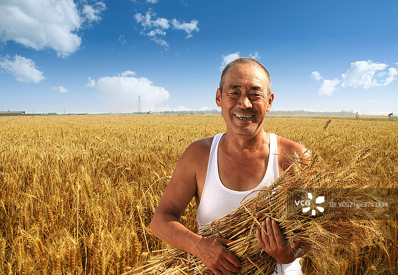 东方农民收获图片素材