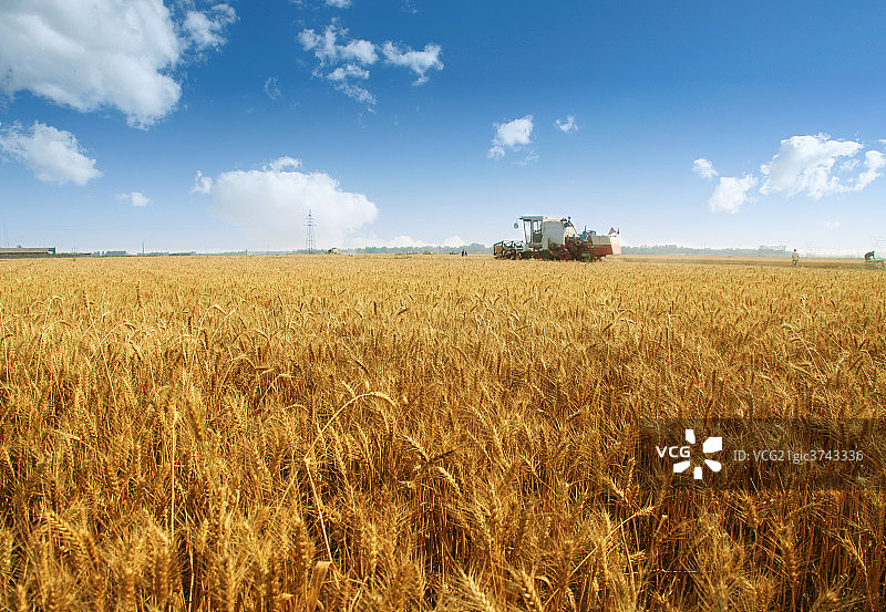 农业收获图片素材