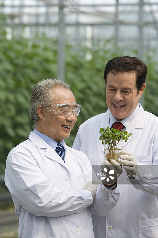 农艺师在现代农庄做科学研究图片素材