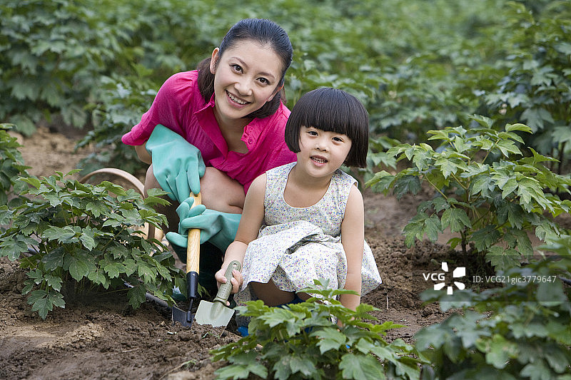 母女在现代农庄采摘图片素材