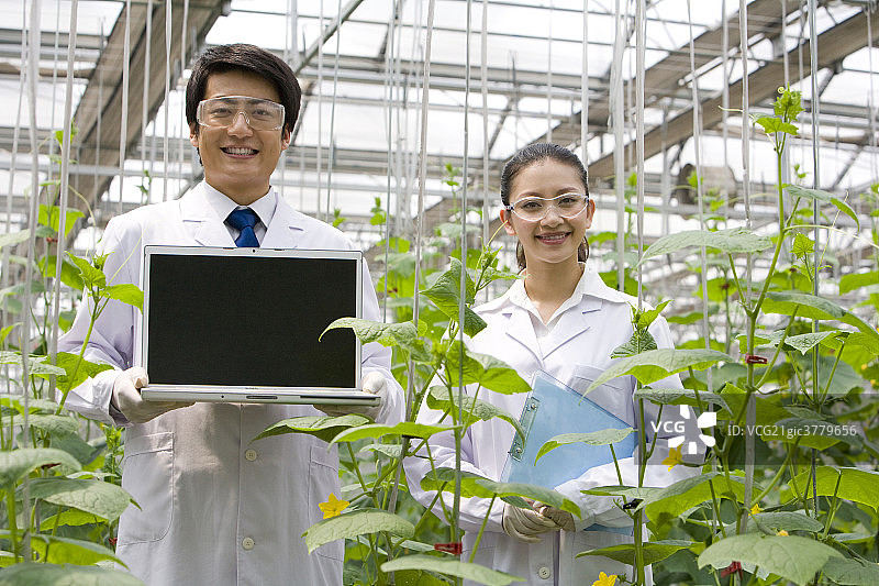 农艺师在现代农庄做科学研究图片素材