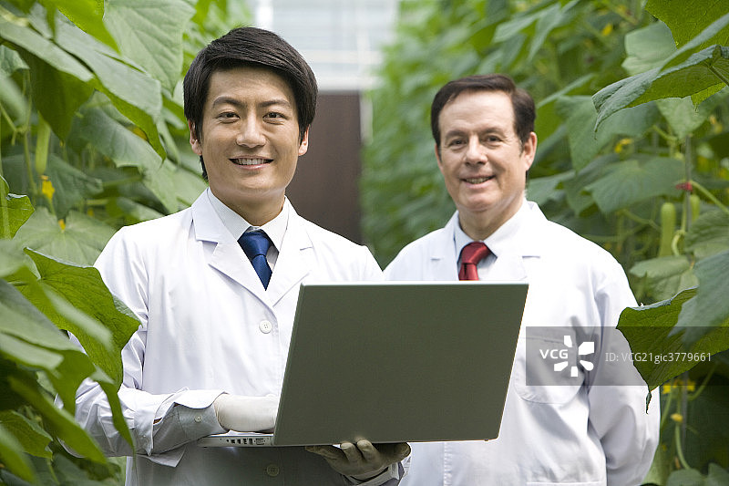 农艺师在现代农庄做科学研究图片素材