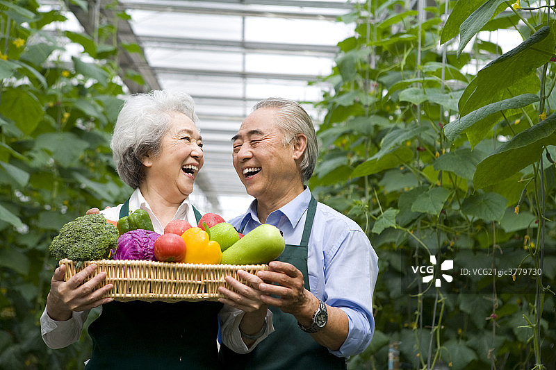 农场主手捧蔬菜图片素材