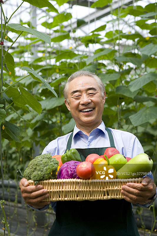 农场主手捧蔬菜图片素材