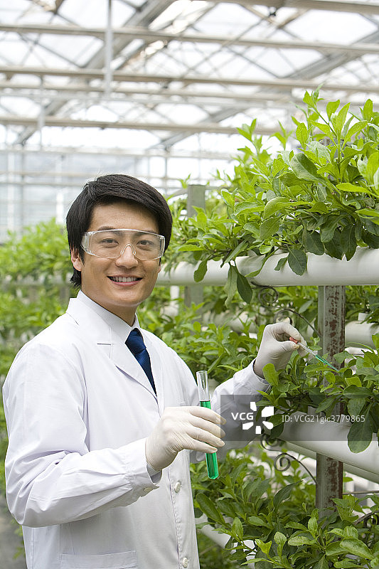 农艺师在现代农庄做科学研究图片素材