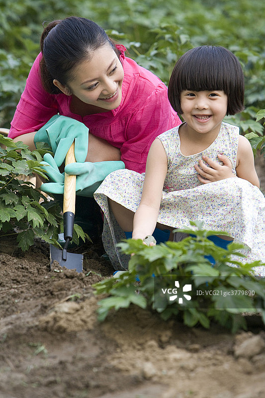 母女在现代农庄采摘图片素材