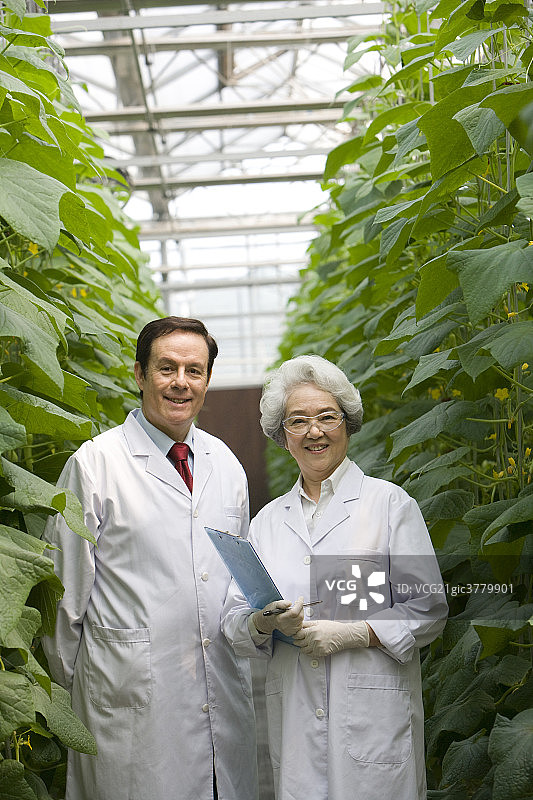 农艺师在现代农庄做科学研究图片素材