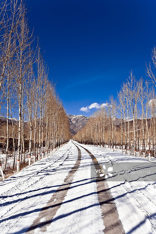 雪景图片素材