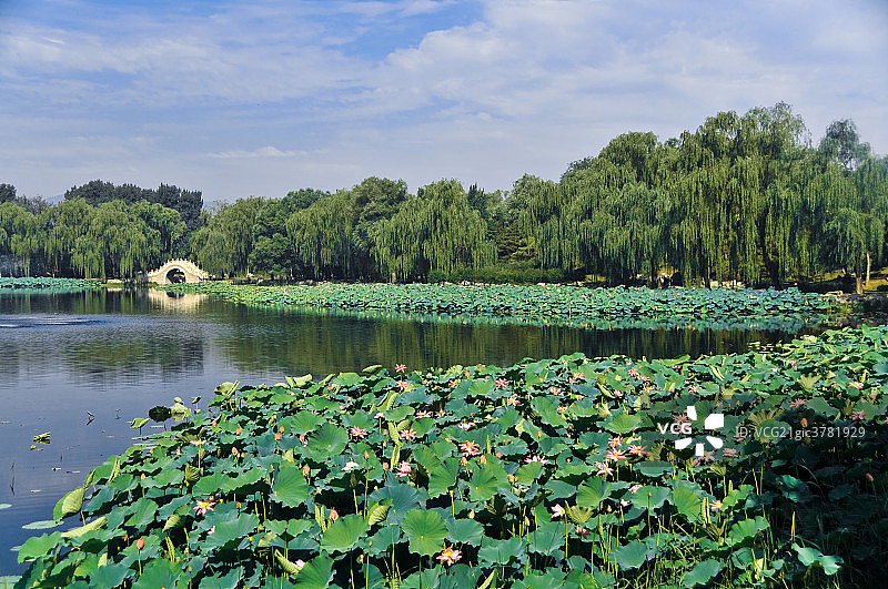 圆明园图片素材