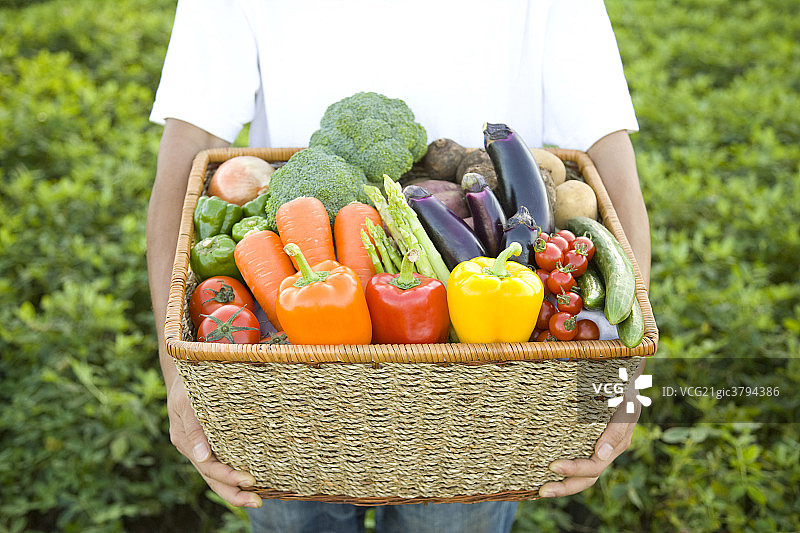 手捧新鲜蔬菜图片素材