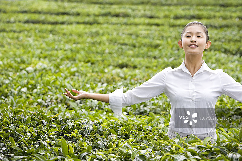 商务女士在茶园享受自然图片素材