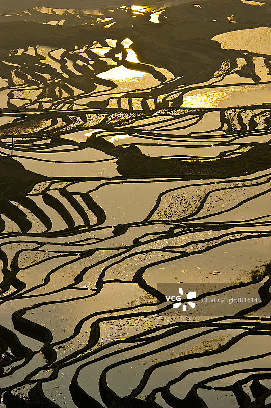 元阳梯田风光图片素材