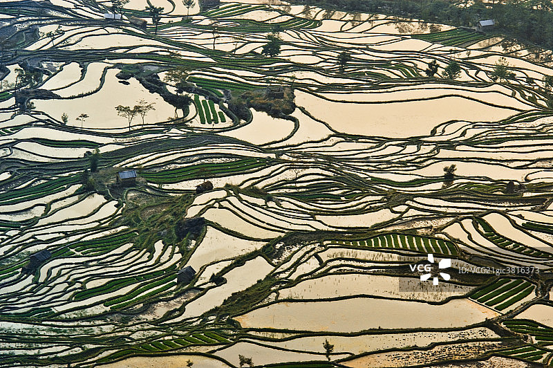 元阳梯田风光图片素材