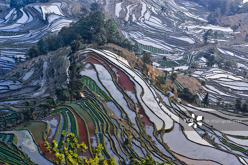 元阳梯田风光图片素材