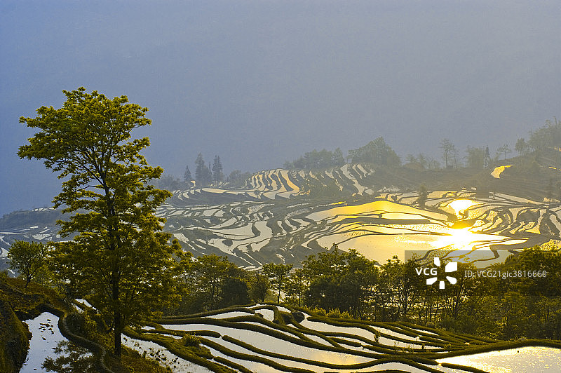 元阳梯田风光图片素材