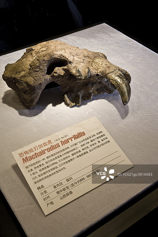 北京奥林匹克公园恐龙岛图片素材