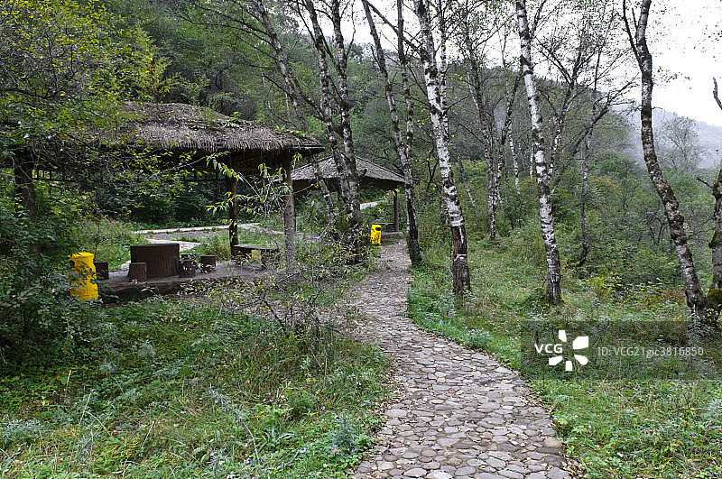 六盘山国家森林公园图片素材