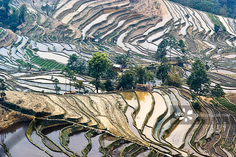 元阳梯田风光图片素材