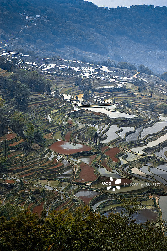 元阳梯田风光图片素材