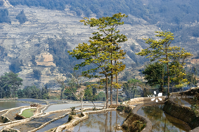元阳梯田风光图片素材