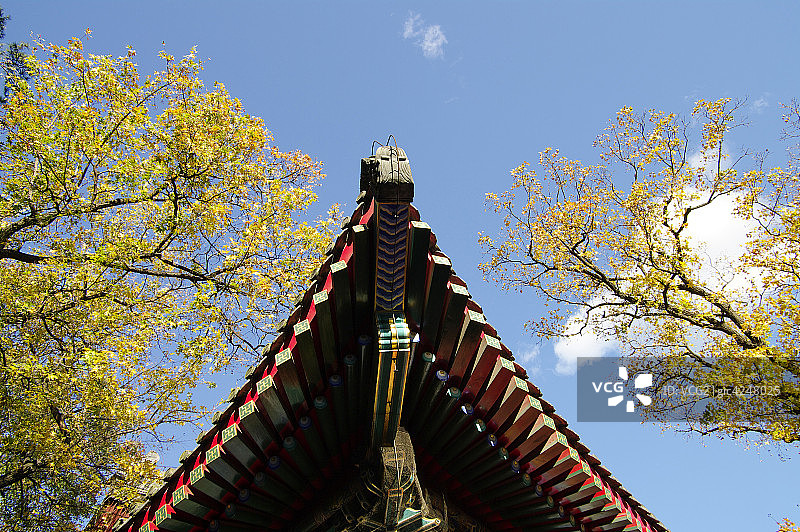 蓝天下的屋檐图片素材