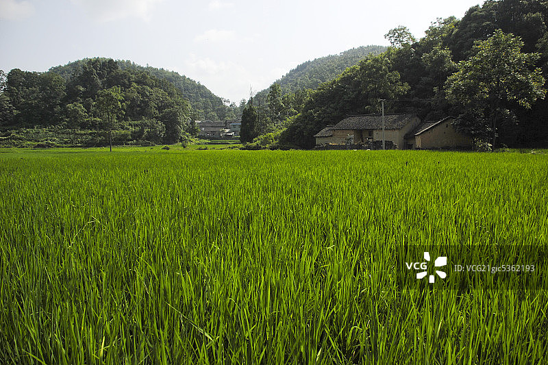 神龙山风光图片素材