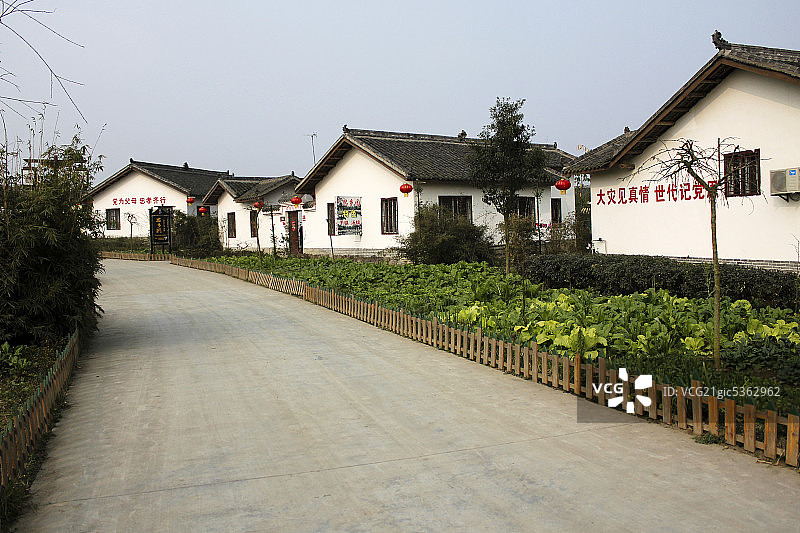 年画屯图片素材