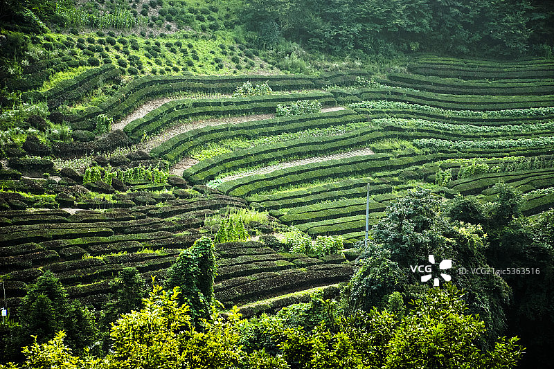 神龙山风光图片素材