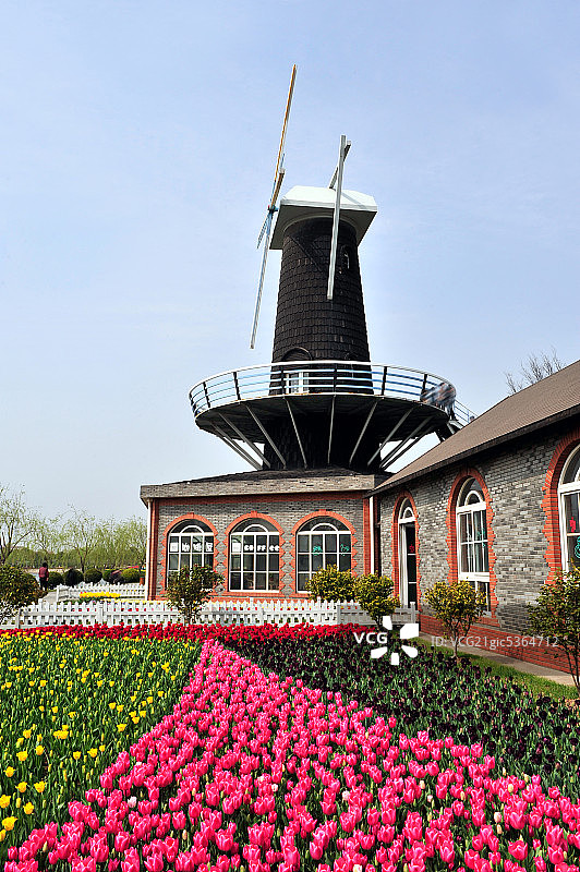 上海鲜花港图片素材