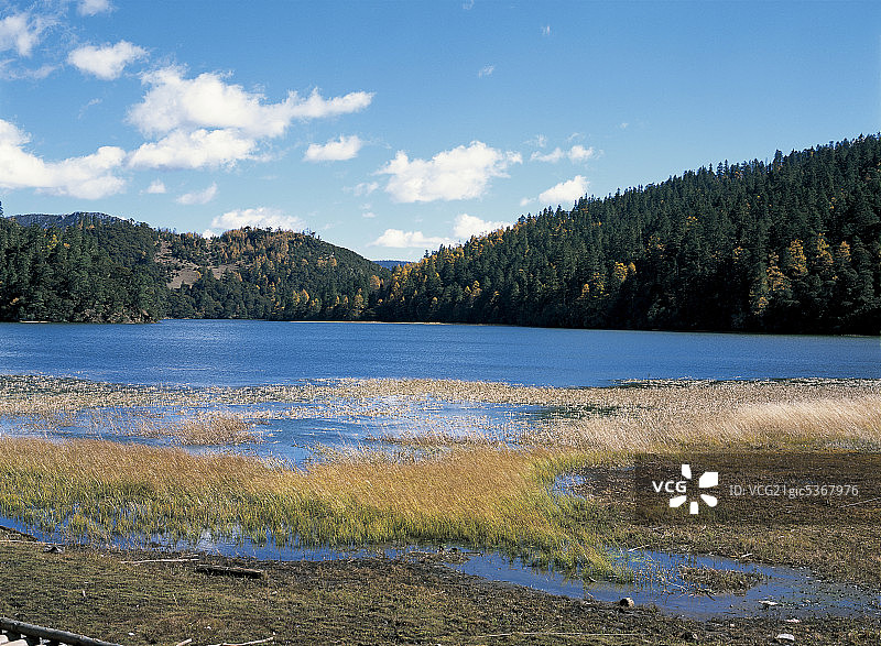 云南香格里拉碧塔海图片素材