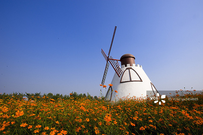 百万葵园风车图片素材