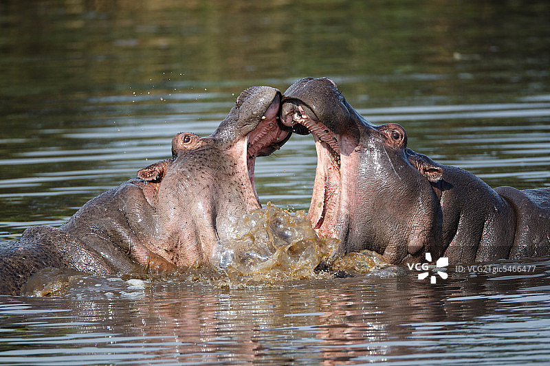 非洲肯尼亚图片素材