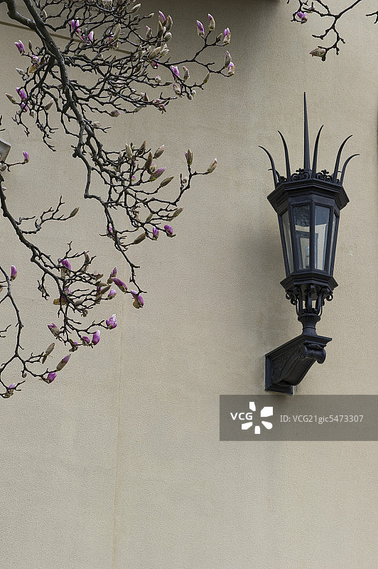 纽约.布鲁克林植物园.壁灯图片素材