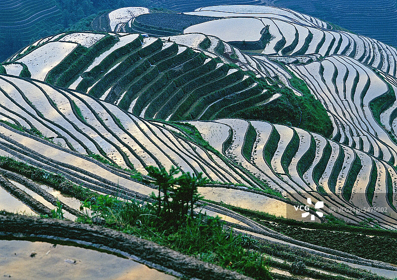 桂林龙脊梯田图片素材