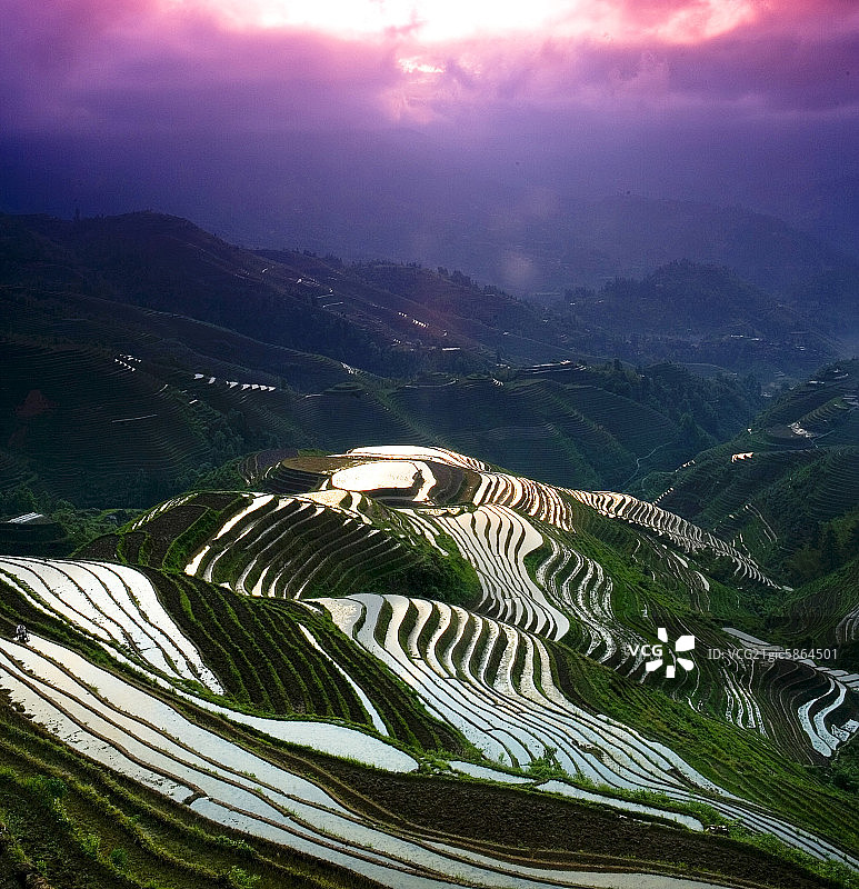 龙脊梯田图片素材