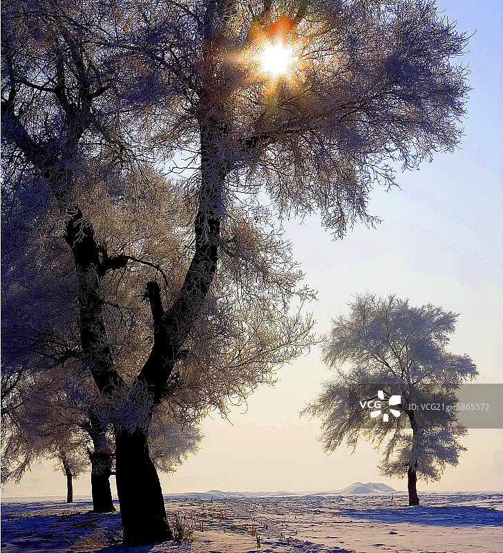 东北雾凇岛图片素材