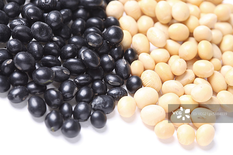 黄豆黑豆图片素材