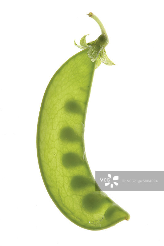 绿豌豆图片素材