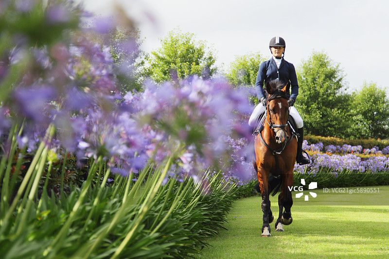 骑马的年轻女人图片素材