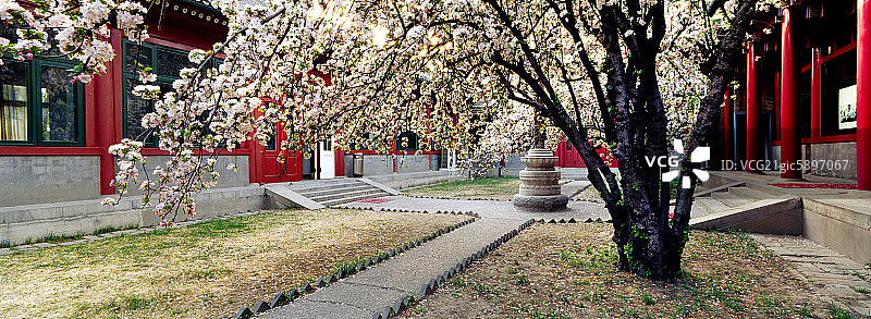 北京宋庆龄故居图片素材