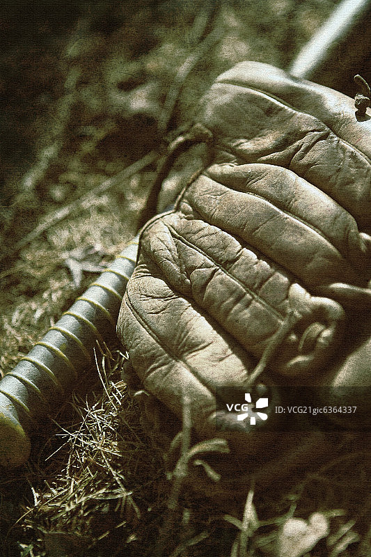 棒球手套和球棒特写图片素材
